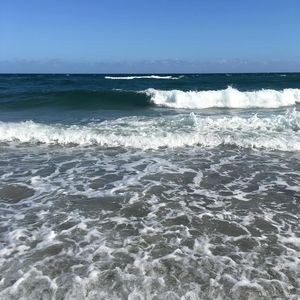 Meet your Posher, Corina